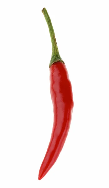 stock image Chili