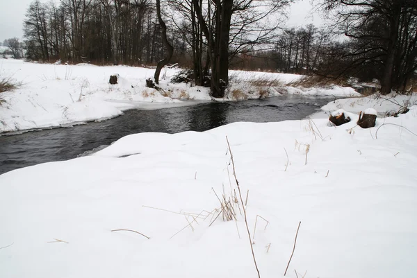 Ruisseau d'hiver forestier — Photo