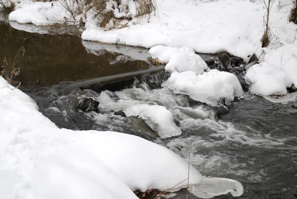 Forest winter brook — Stock Photo, Image