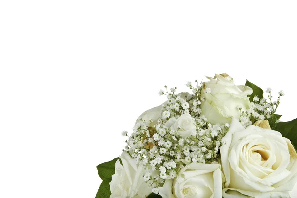 Kilka białych róż — Zdjęcie stockowe