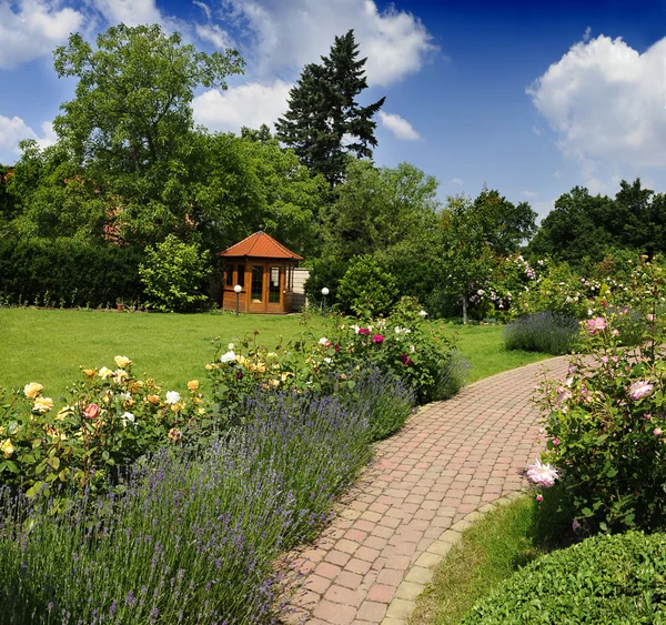 Garten mit Rosen — Stockfoto