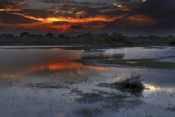 Sunset in Yala — Stock Photo, Image