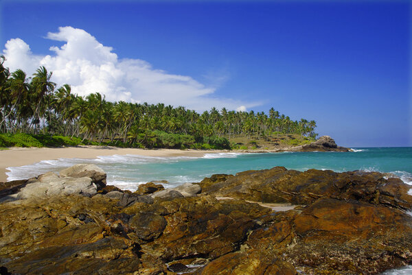 тропический рай