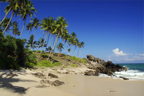 тропический рай