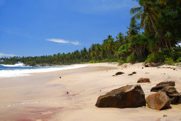 тропический рай