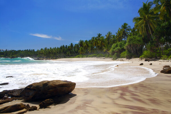 тропический рай