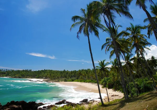 Tropisch paradijs — Stockfoto