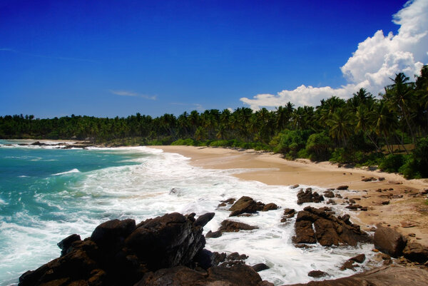 тропический рай