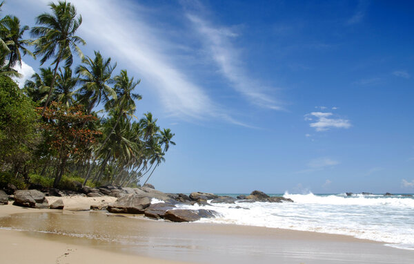 тропический рай