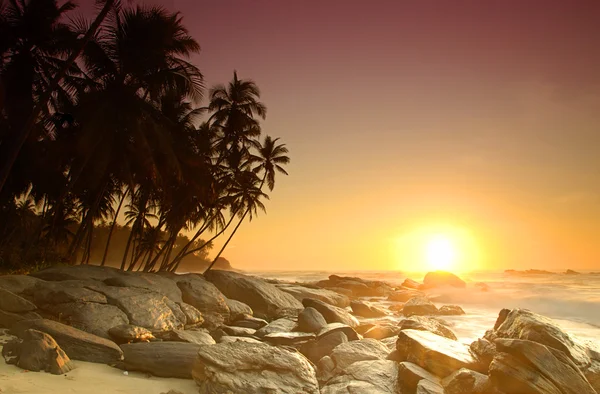 Salida del sol en Sri Lanka — Foto de Stock