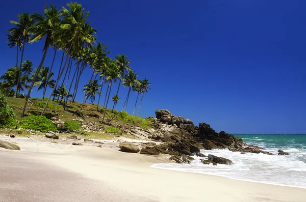 stock image Tropical paradise