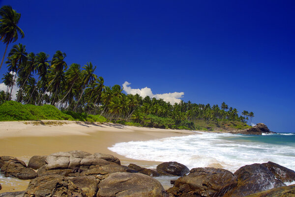 красивый тропический пляж