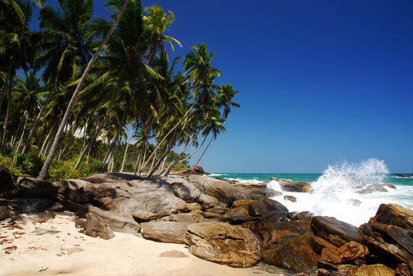 тропический рай