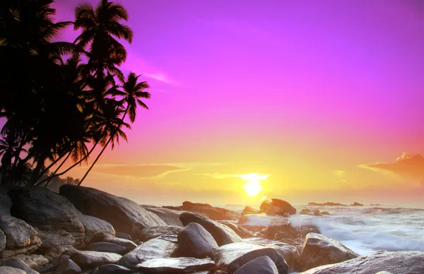 Восход солнца на Шри-Ланке — стоковое фото