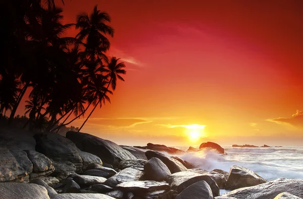 Solnedgang på Sri Lanka – stockfoto