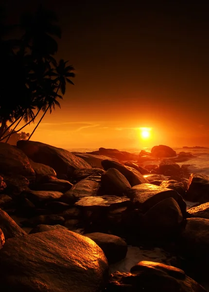 Solnedgang på Sri Lanka – stockfoto