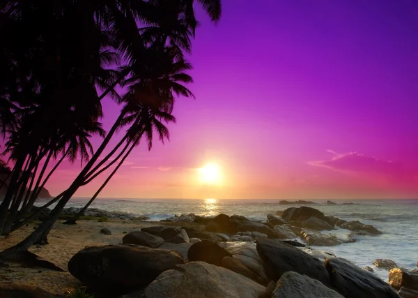 Схід сонця на Шрі-Ланці — стокове фото