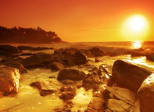 Захід сонця на Шрі - Ланці — стокове фото