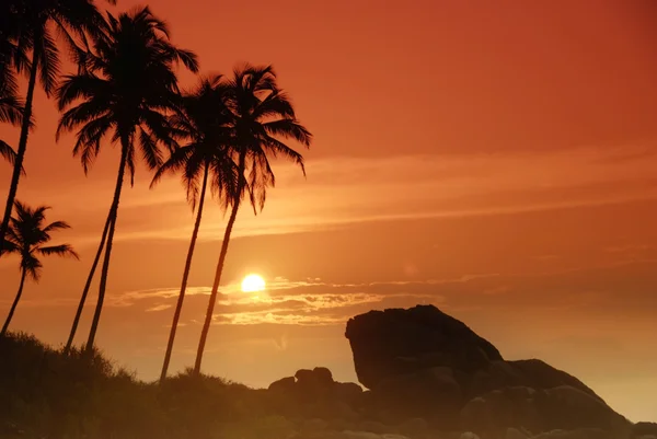 Sonnenuntergang auf Sri Lanka — Stockfoto