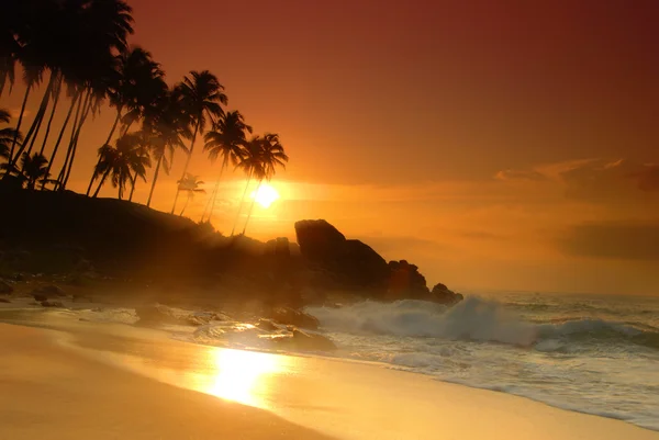 Sunset on Sri Lanka — Stock Photo, Image