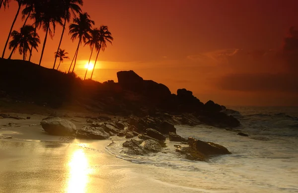 Pôr do sol no Sri Lanka — Fotografia de Stock
