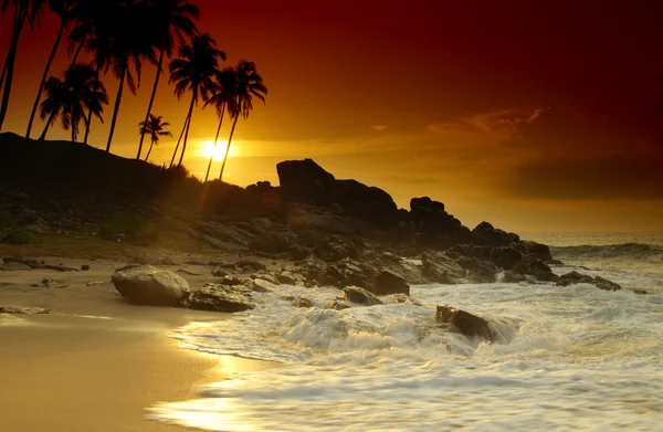 Solnedgång på Sri Lanka — Stockfoto