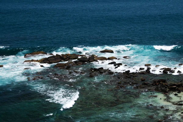 Vahşi deniz — Stok fotoğraf