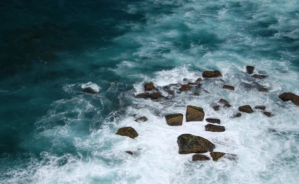 野生の海 — ストック写真