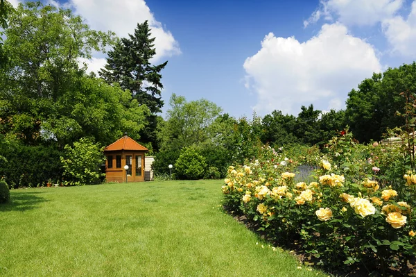Trädgård med rosor och lavendel — Stockfoto