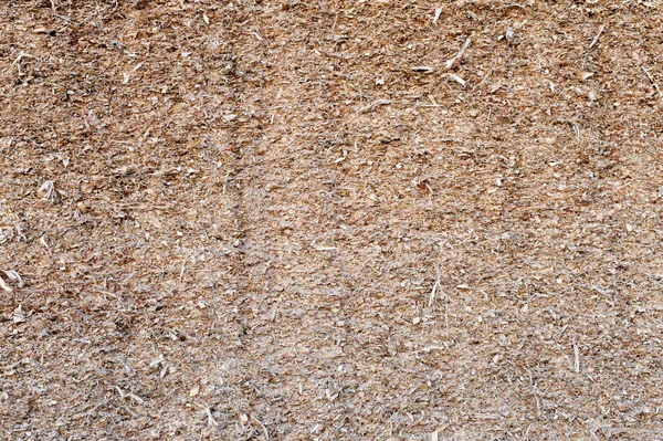 Parçalanmış saman - Silaj — Stok fotoğraf
