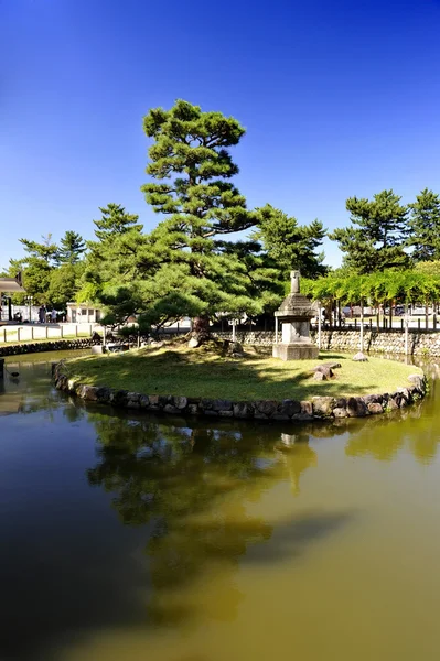日本花园 — 图库照片