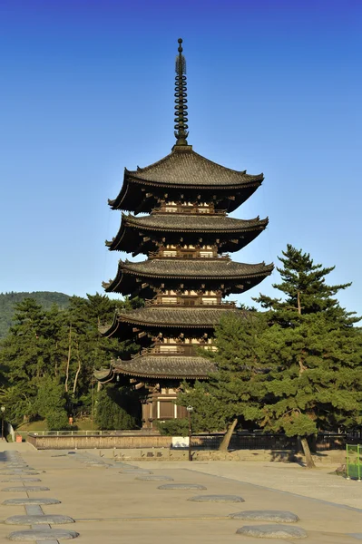 Pagoda için de nara — Stok fotoğraf