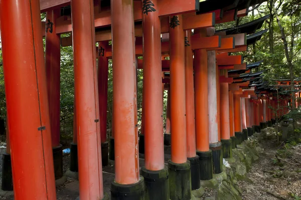 Fushimi Inari — Stok fotoğraf