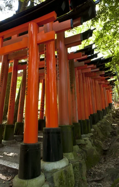 Fushimi Inari — Stock Fotó