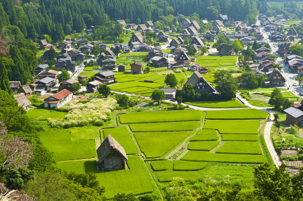 Famous traditional Japanese village Ogimachi - Shirakawa-go from above