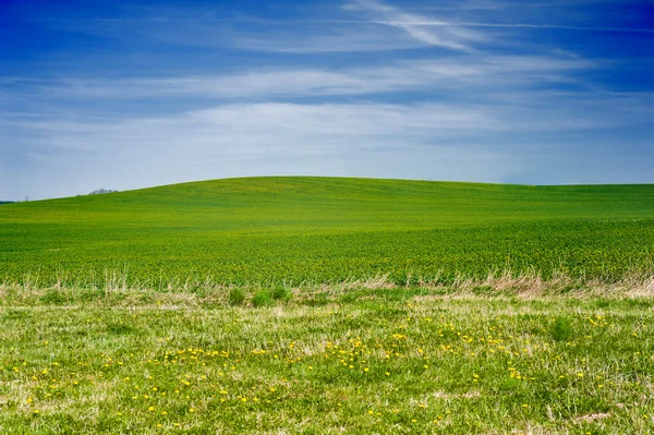 Green hill — Stock Photo, Image