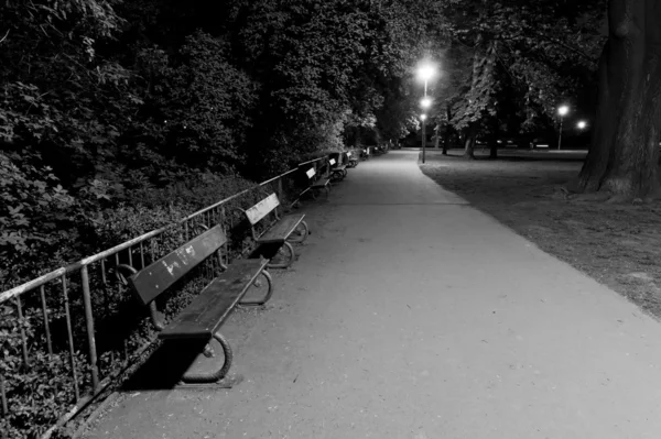 Парк ночью — стоковое фото
