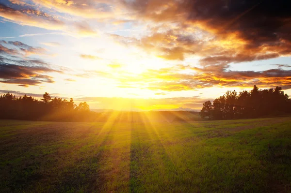 Field and sunset — Stock Photo, Image
