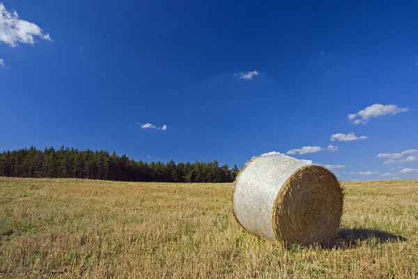 Straw roll and a blue sky — Stock Photo, Image