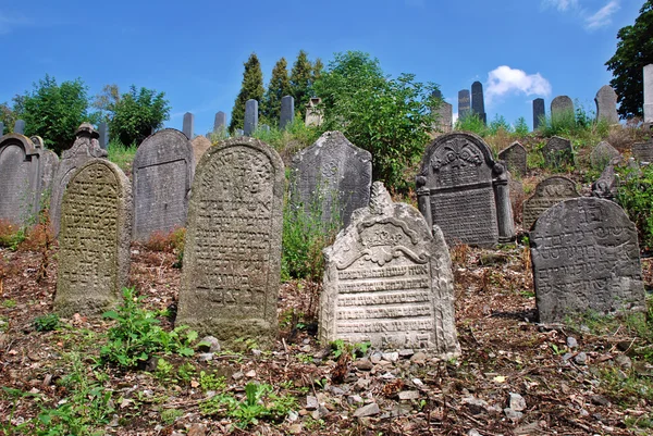 Ancien cimetière juif — Photo