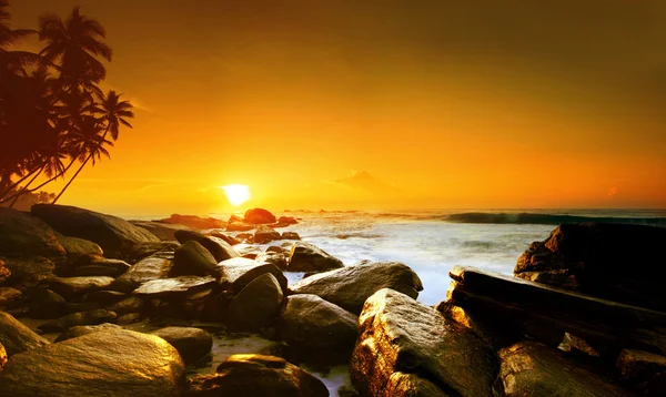 Puesta de sol en Sri Lanka — Foto de Stock