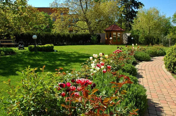 Ogród tulipan — Zdjęcie stockowe