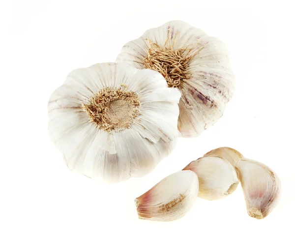 stock image Garlic