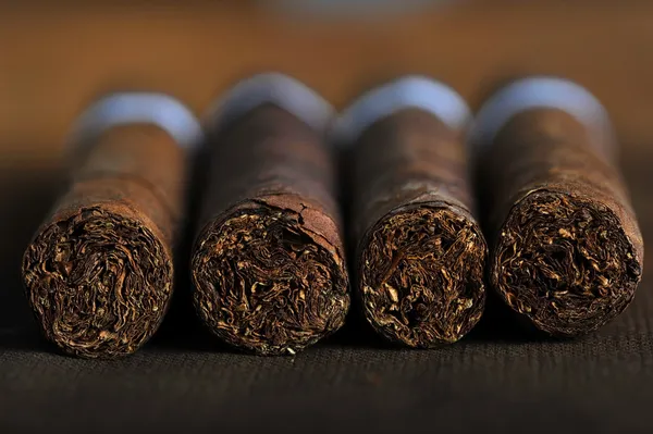 Сигары — стоковое фото