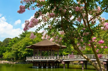 Gazebo in Nara clipart