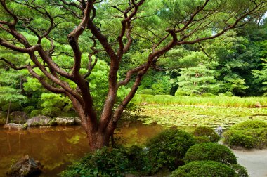 Beautiful Japanese garden clipart