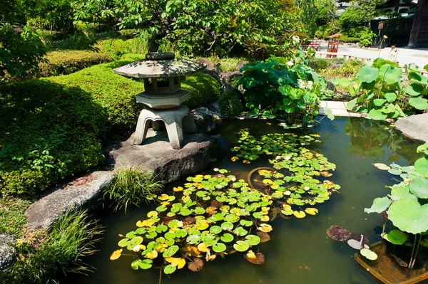 Schöner japanischer Garten — Stockfoto