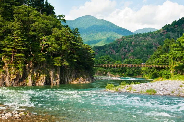 Japanese landscape — Stock Photo, Image