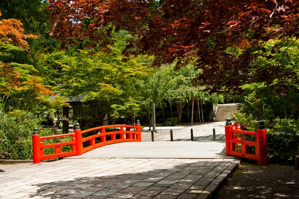 美丽的日本花园 — 图库照片