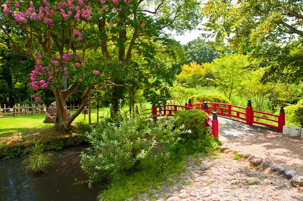 Bellissimo giardino giapponese — Foto Stock